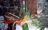 1996-06 Víz - Zene - Virág Fesztivál