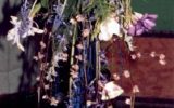 1992-04 I. Oasis Aranyrózsa Díj