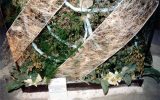 2001-06 Víz – Zene – Virág Fesztivál