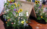 2004-04 Flower Festival Francavilla al Mare