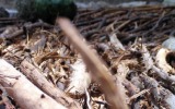 Land Art Girona