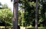 2003-05 Land Art - Pordenone