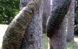 2003-05 Land Art - Pordenone
