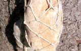 2003-05 Land Art - Pordenone