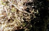 2003-05 Land Art - Pordenone