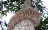2003-05 Land Art - Pordenone