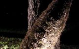 2003-05 Land Art - Pordenone