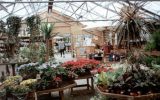 1993-08 The Dutch Nursery and Garden Centre