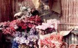 1994-11 The Dutch Nursery and Garden Centre